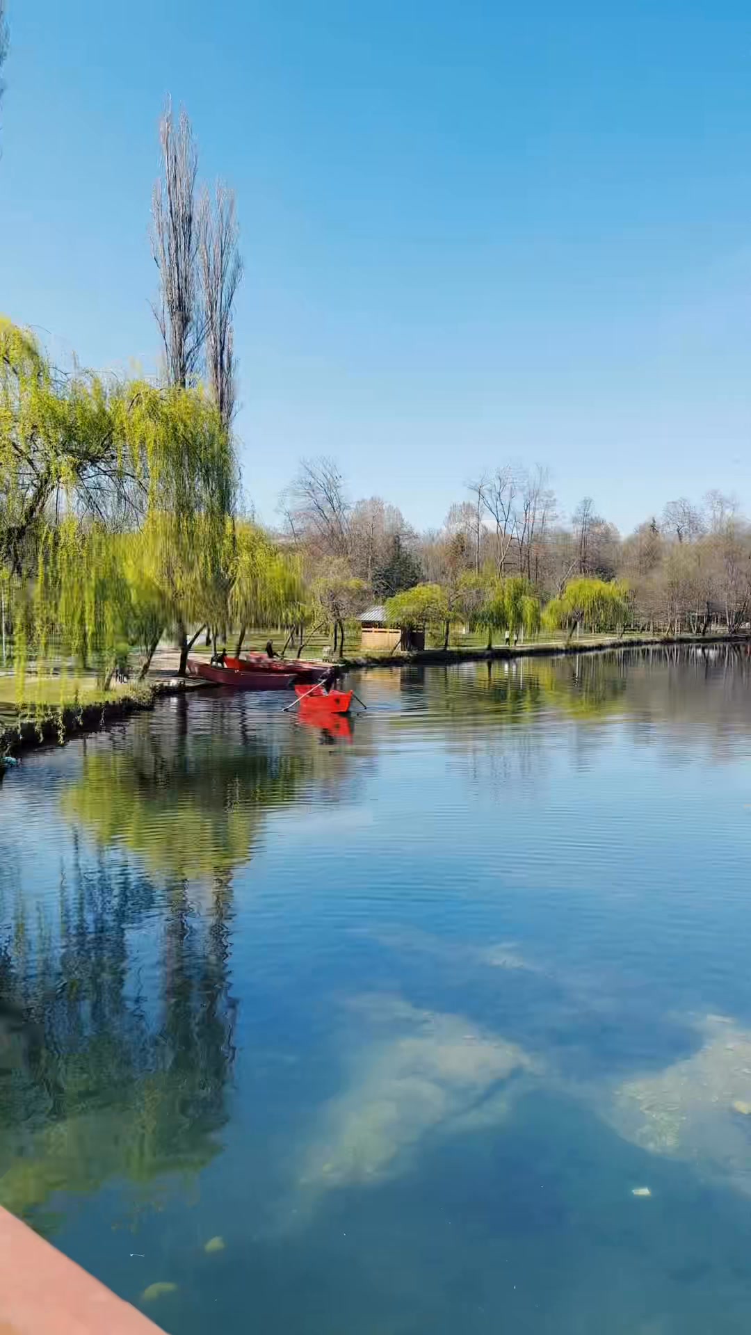 Shqiponja Travel