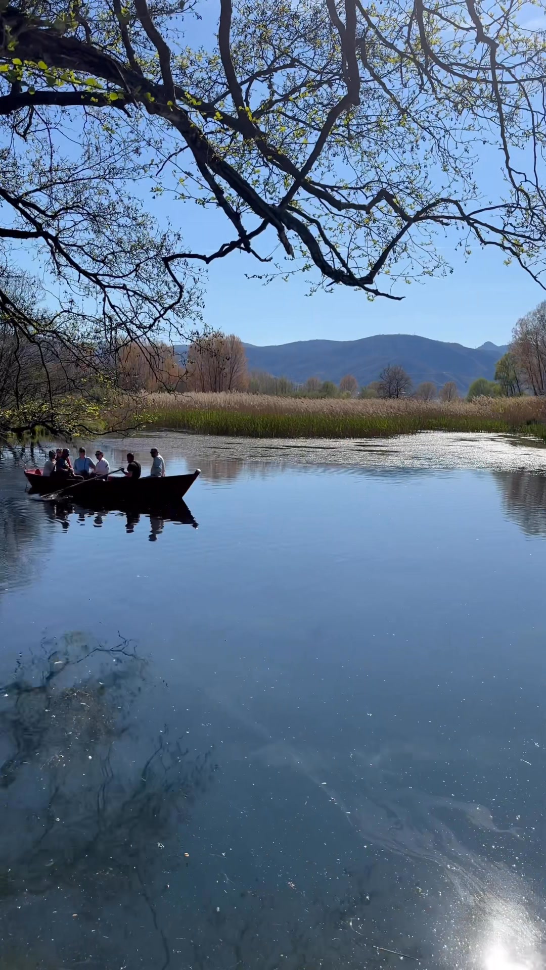 Shqiponja Travel